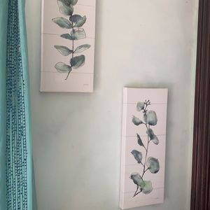 Two plant canvas